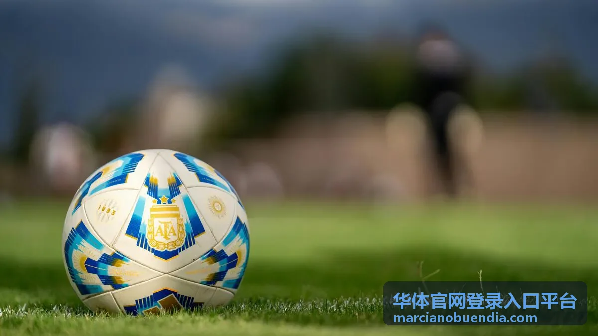 华体官网登录入口平台账号登录界面示意